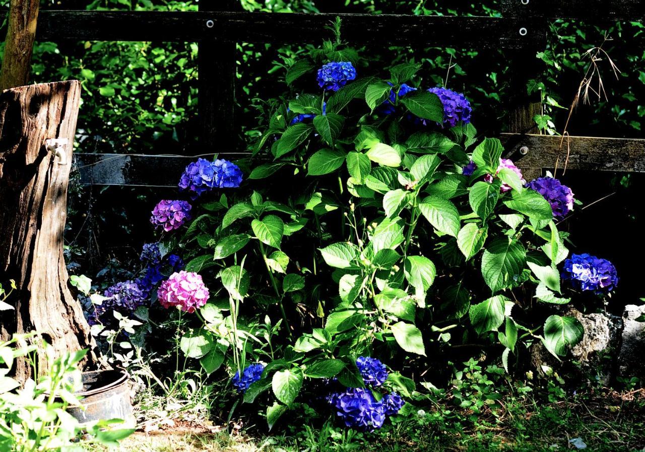 Country House Sezze Eksteriør billede